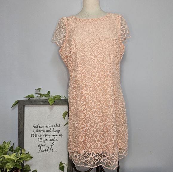 Beige by eci Dresses & Skirts - Lace Dress Size 14 New